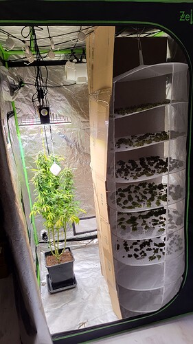 Growreport Bild 5