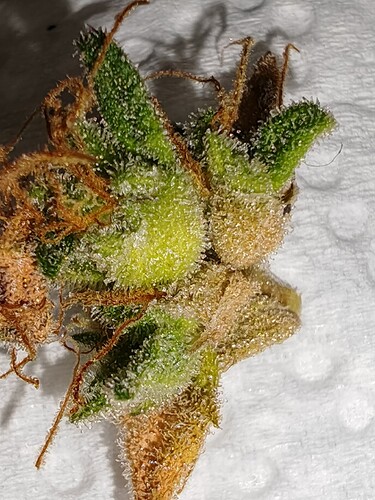 Growreport Bild 48