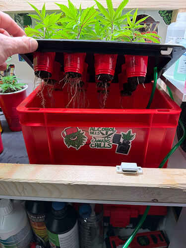 Growreport Bild 46