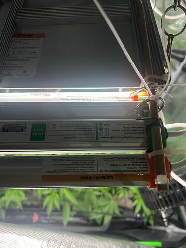 Growreport Bild 19