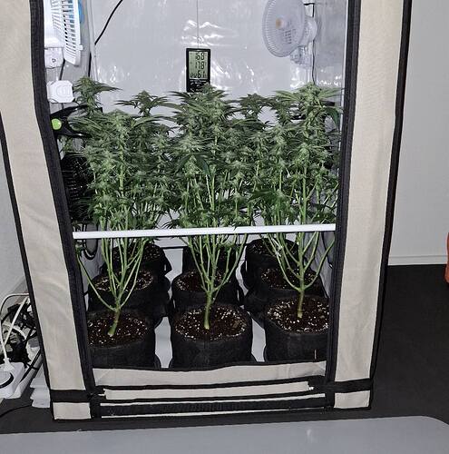 475678252_122165570474293599_4550090483081138025_n