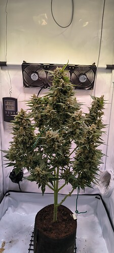 Growreport Bild 8