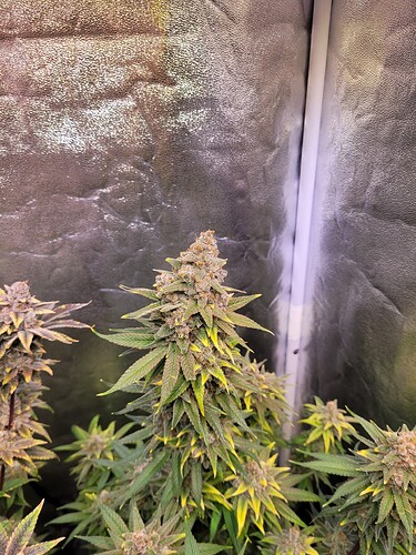 Growreport Bild 12