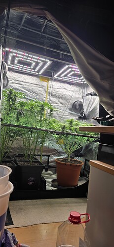 Growreport Bild 12