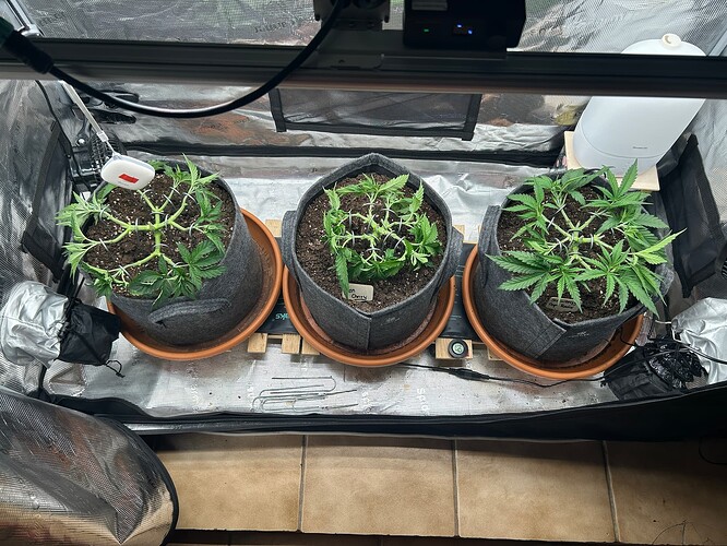 Growreport Bild 9
