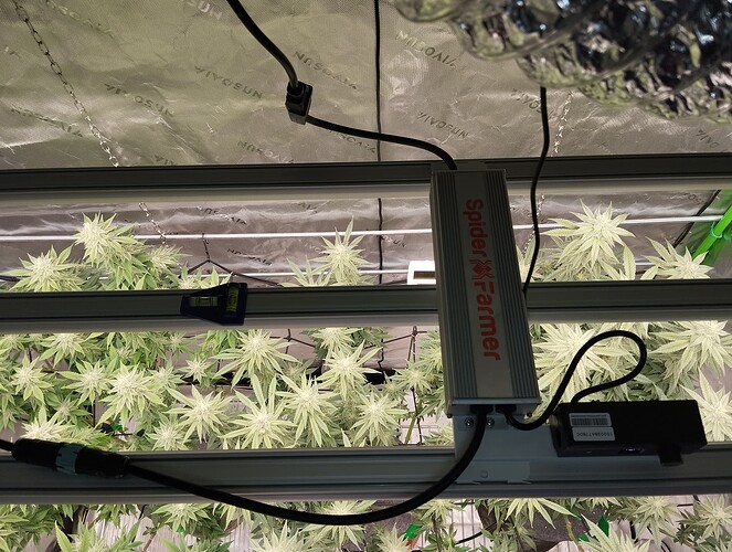Growreport Bild 22