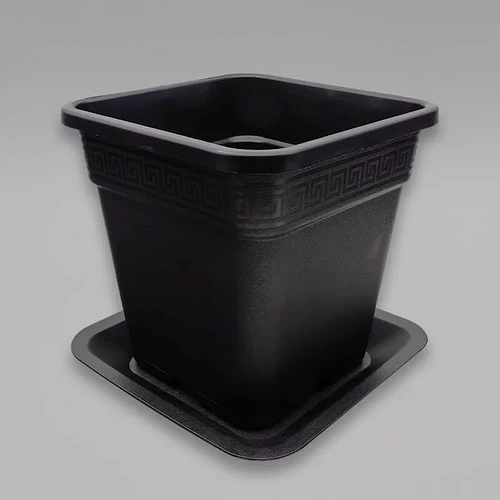 Growreport Bild 3