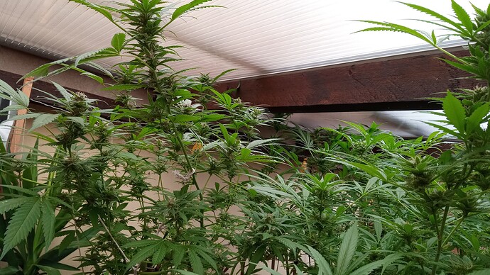 Growreport Bild 2