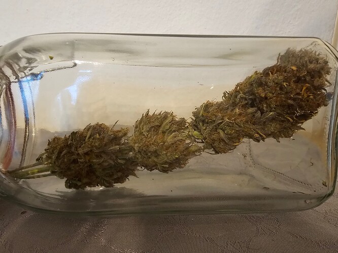 Growreport Bild 13