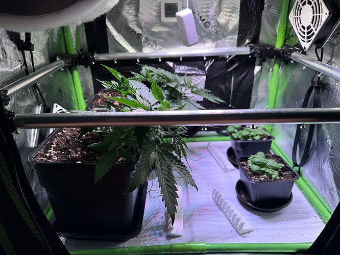Growreport Bild 6