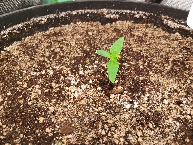 Growreport Bild 6