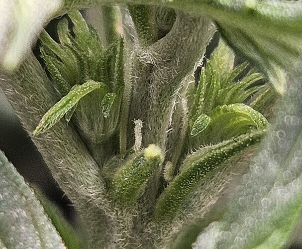 Growreport Bild 37