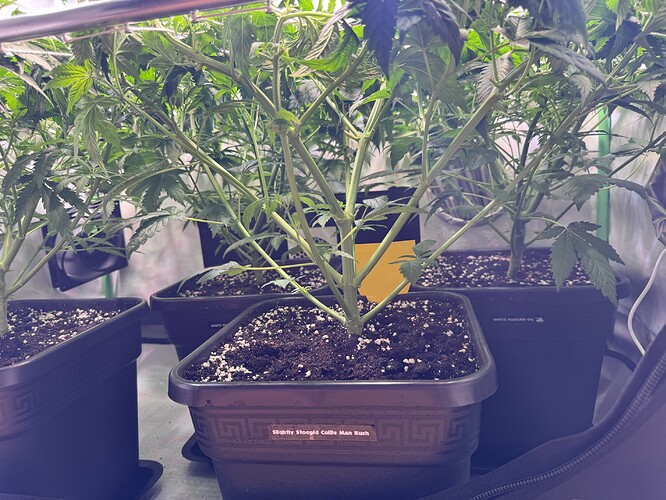 Growreport Bild 10