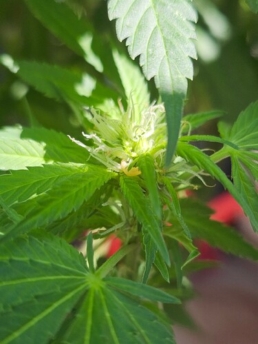 Growreport Bild 3