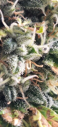 Growreport Bild 18