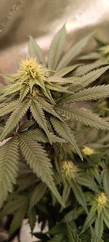 Growreport Bild 13