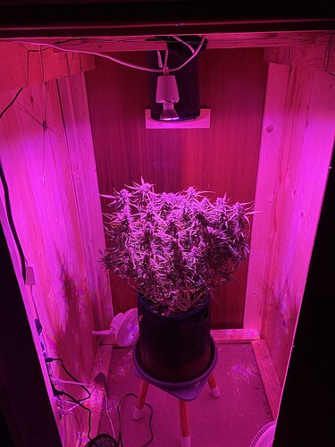 Growreport Bild 35