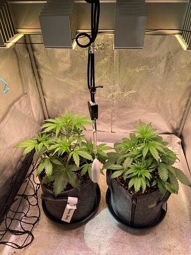 Growreport Bild 2