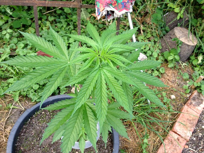 Growreport Bild 17