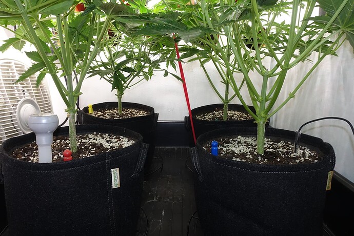Growreport Bild 4