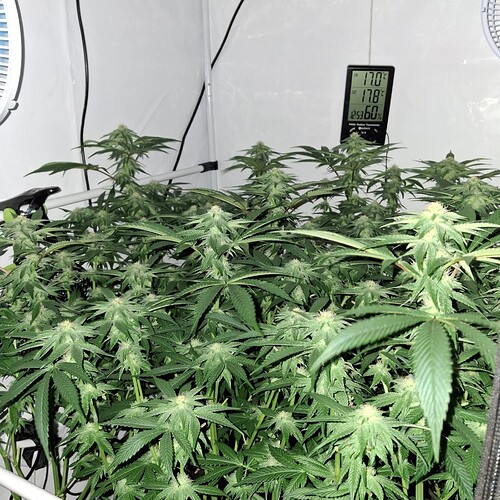 474763129_122165570930293599_2570399279914522790_n