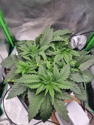 Growreport Bild 12