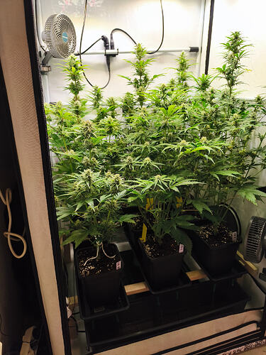 Growreport Bild 12
