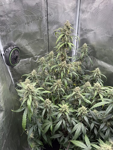 Growreport Bild 12