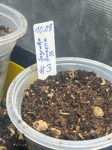 Growreport Bild 32