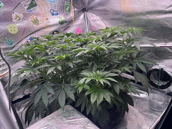 Growreport Bild 18