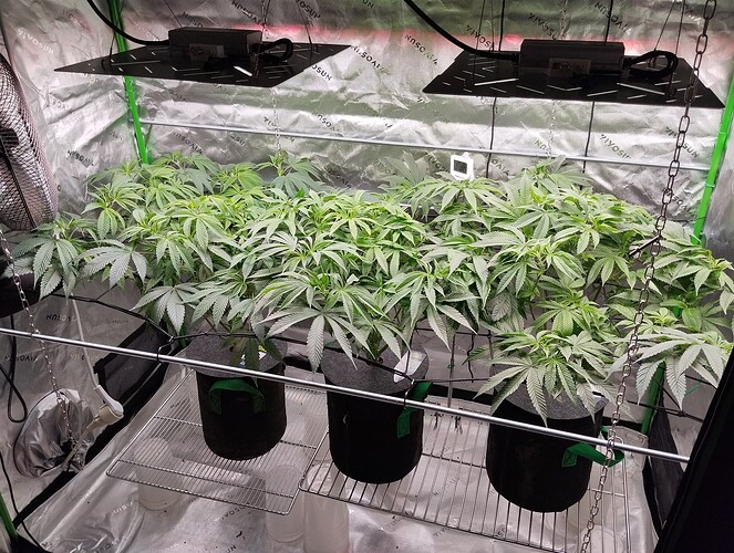 Growreport Bild 7