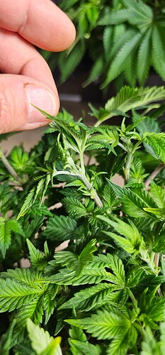 Growreport Bild 23
