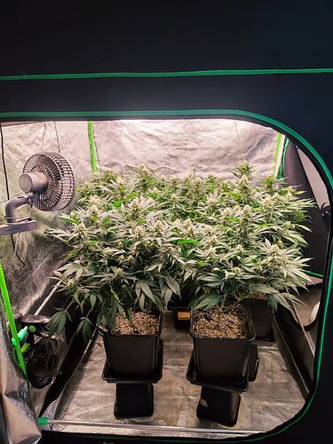 Growreport Bild 13