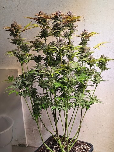 Growreport Bild 17