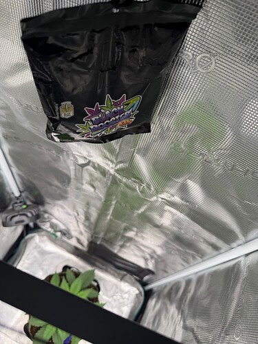 Growreport Bild 12