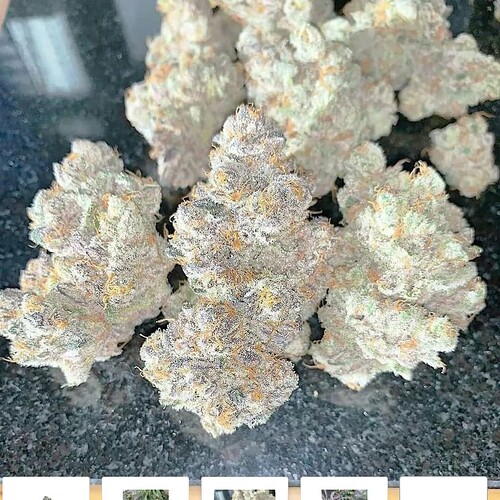 Mehrere dichte, frostige Cannabis-Buds mit lila und orangen Akzenten liegen auf einer dunklen, glänzenden Oberfläche.