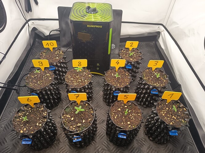Growreport Bild 32