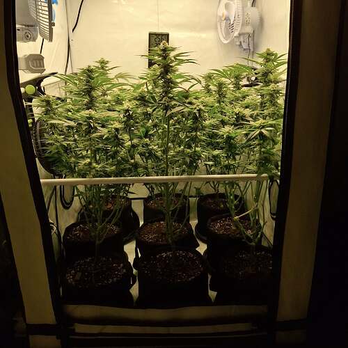 474740055_122166184532293599_4997152911691350528_n