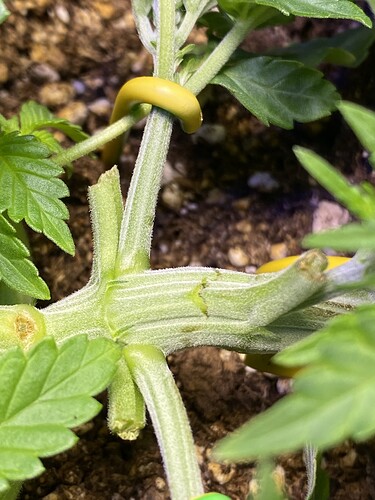 Growreport Bild 53