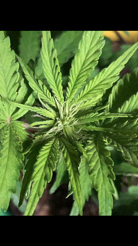 Growreport Bild 9