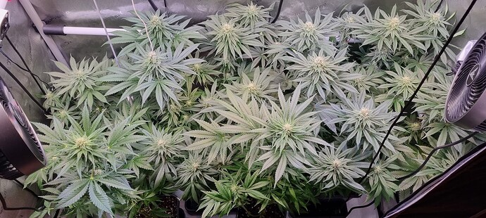 Growreport Bild 9