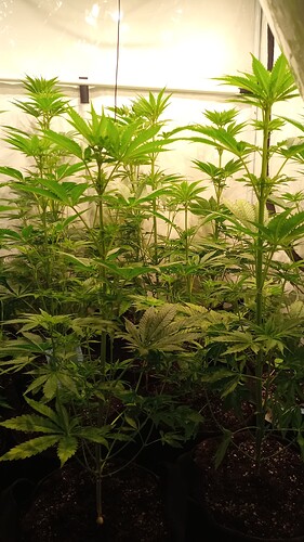 Growreport Bild 11