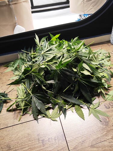Growreport Bild 11
