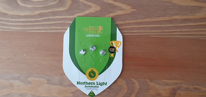 Growreport Bild 3