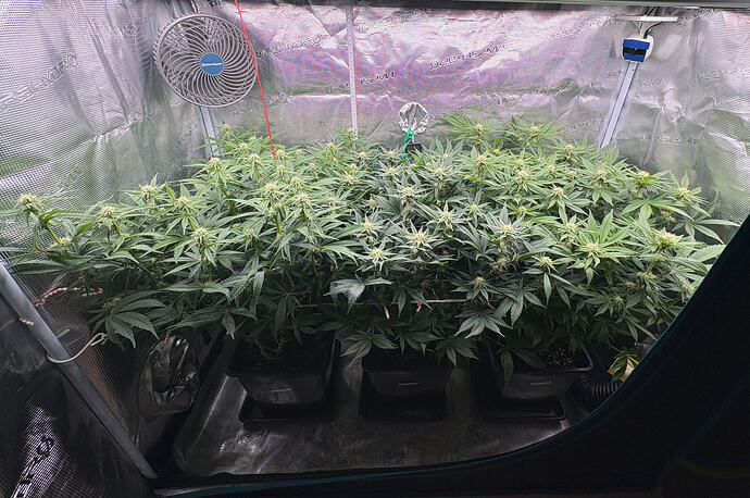 Foto 10.01.26, 06 11 43