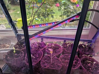 PXL_20250526_171344871