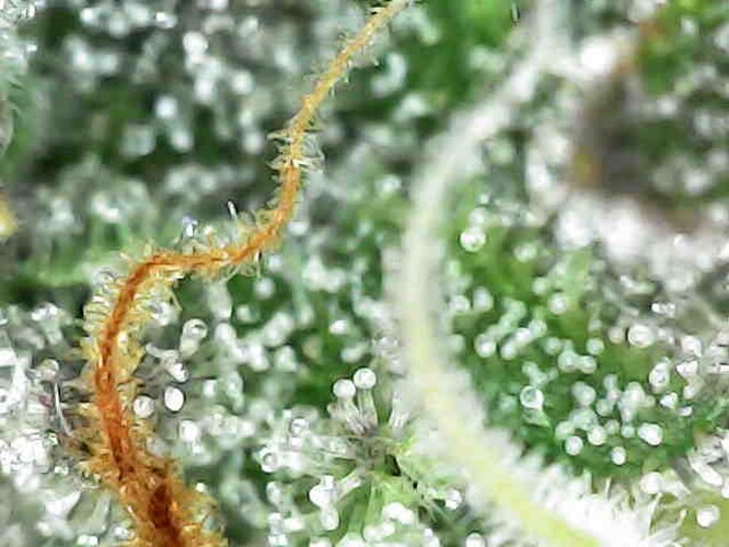 Photo_2025-04-13 17_16_58_634