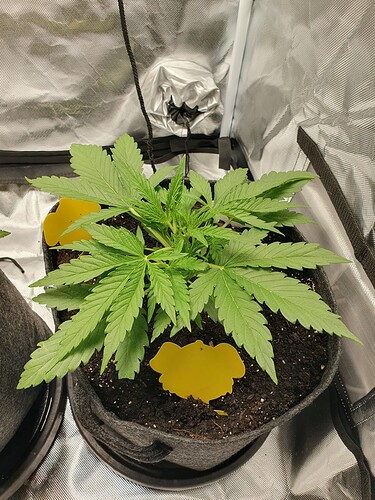 Growreport Bild 2