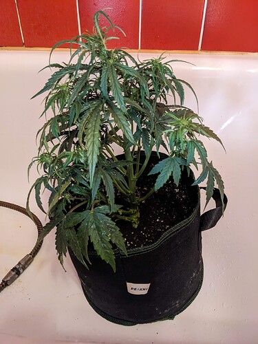 PXL_20240519_225700830