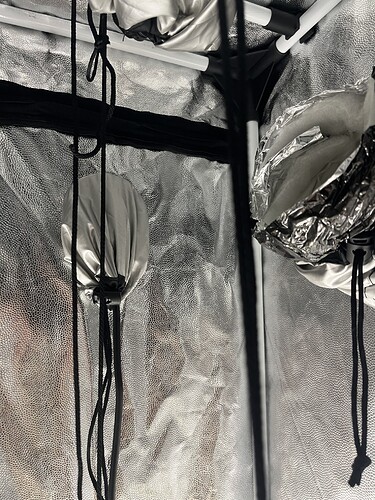 Growreport Bild 30